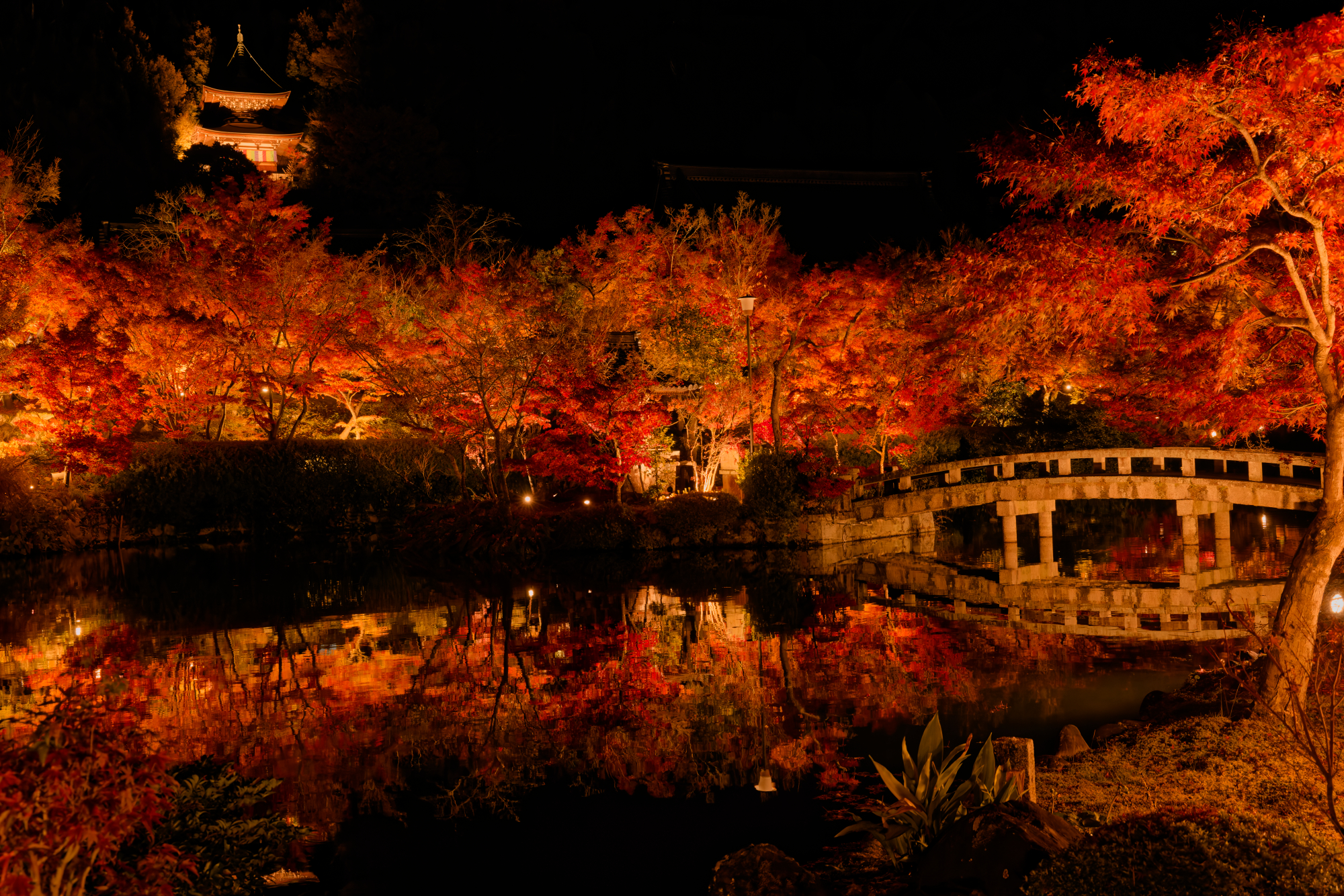永観堂のライトアップされた紅葉と塔、池に映る石橋と木々