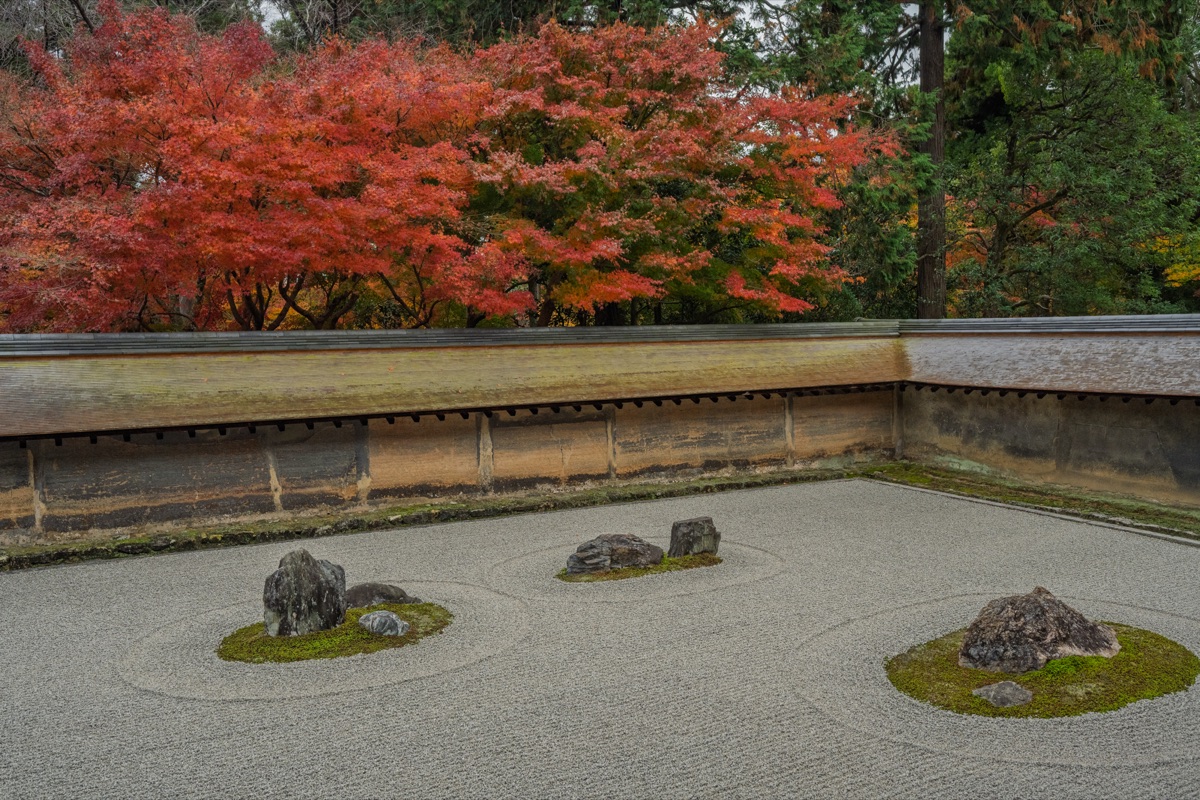 龍安寺の白砂と苔の石庭、その奥の土塀越しに広がる紅葉